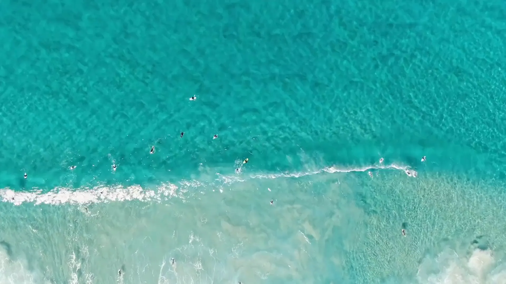 Aerial view straight down over Bondi Beach, surfers and swimmers scattered across turquoise water as a wave breaks
