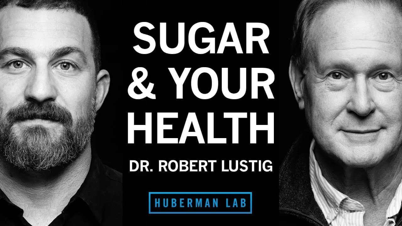 Dr Robert Lustig in a Huberman Lab podcast episode