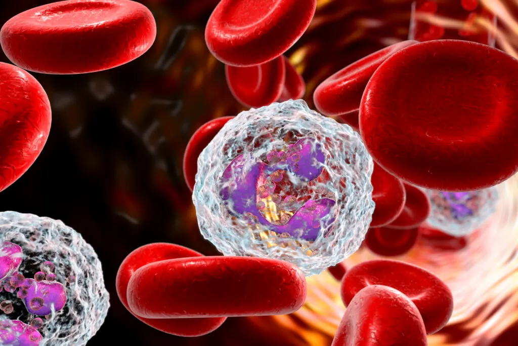 A close-up render of red blood cells and a white blood cell flowing through a blood vessel